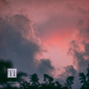 成人手机视频在线观看
